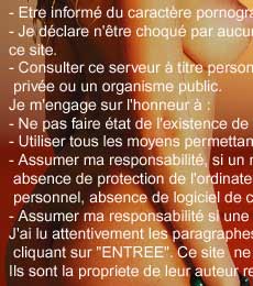 project voyeur